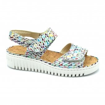 WILLOW 955001